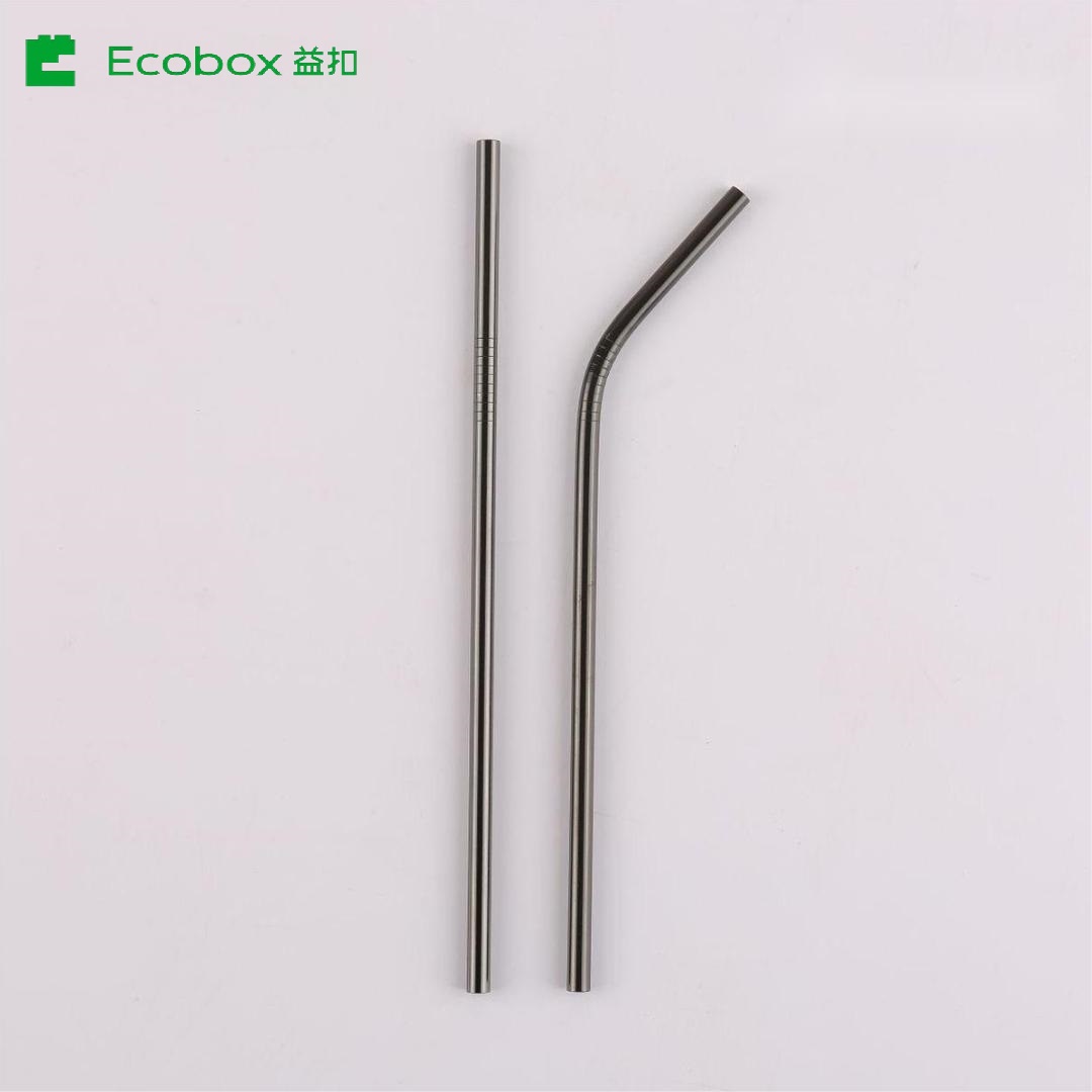 SSDS - 2 ECOBOX Reusable Stainless Steel Ecofriendly Milk Tea Straw Drinking Straws 