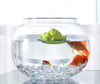 ECOBOX FB-401 Fish Tank Landscaping Fish Bowl Round Lighting Round Plastic Clear Table Aquarium Fish Tank
