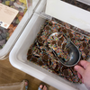 LD-05 22L Scoop bin Ecobox Dry Food Nuts Candy Container Coffee Bean Seeds Powder Bulk Food Storage Bins Candy Bins Scoop Bin For Retail Shop